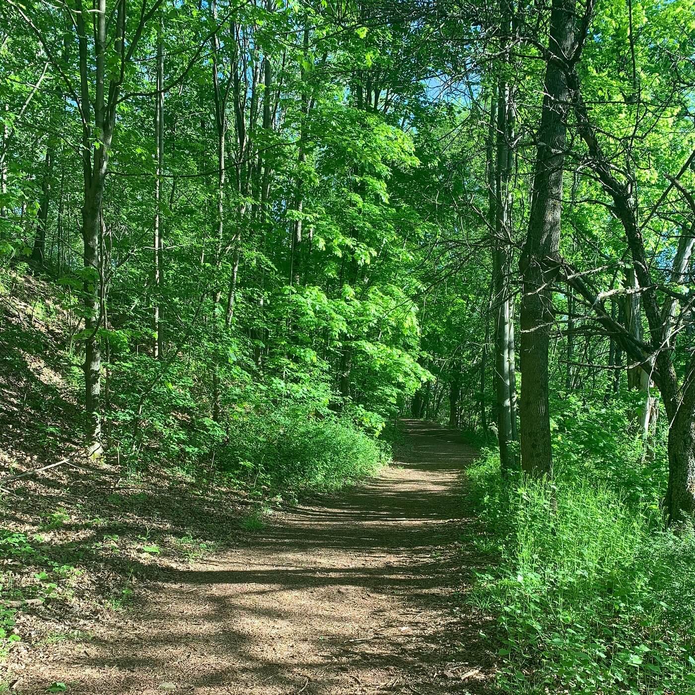 Walnut Mountain Park