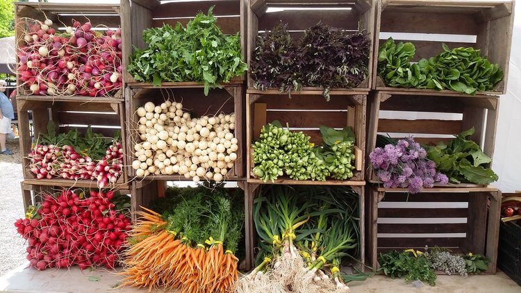 Callicoon Farmer’s Market